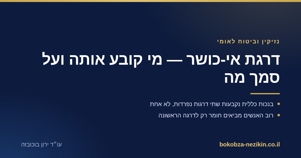 דרגת אי-כושר — מי קובע אותה ועל סמך מה